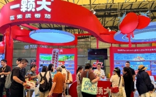 一颗大™连续三年亮相2026中国国际水果展，全系“高素质”产品引关注